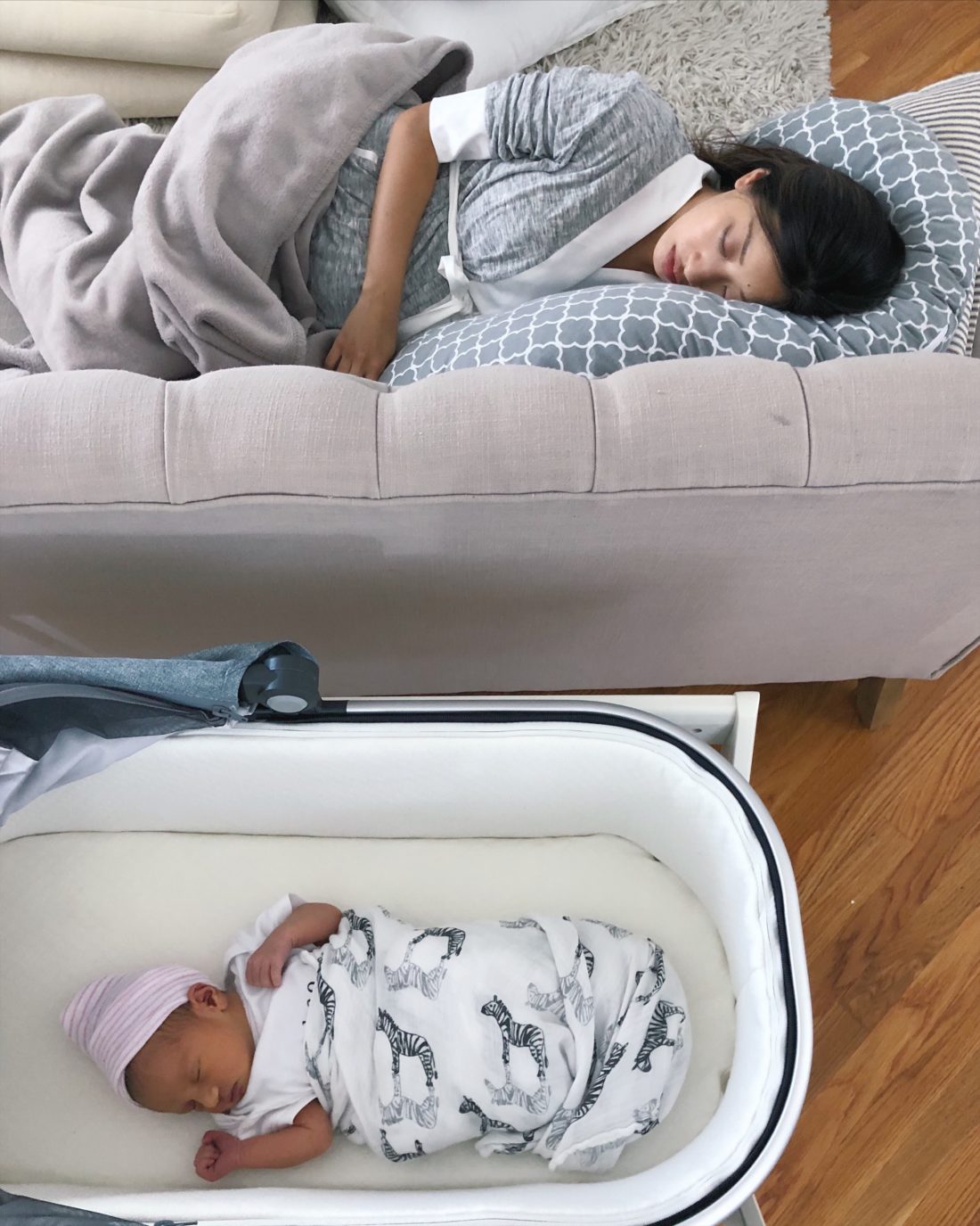 uppababy bassinet gregory with stand