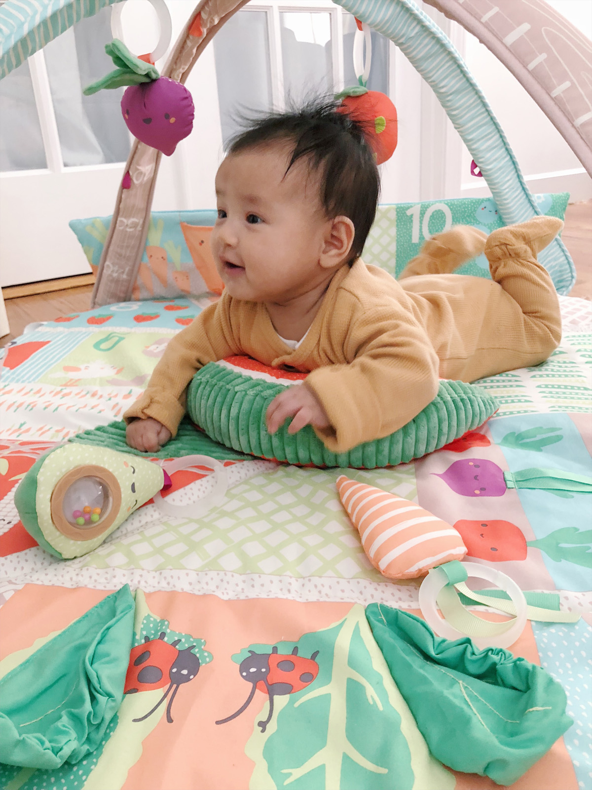 skiphop registry baby mat activity gym farmstand