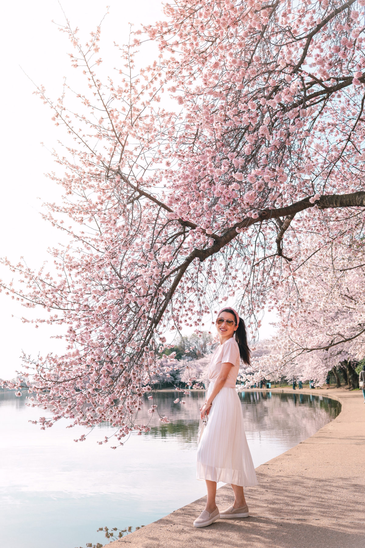Washington DC guide cherry blossoms outfit